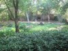 IMG_5414 (800x600).jpg