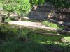 IMG_5428 (800x600).jpg