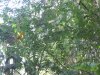 IMG_5486 (800x600).jpg