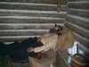 DSCF3896.JPG