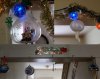 ornaments.jpg ornaments.jpg
