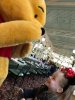 Pooh.jpg