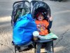 IMG_20170201_083648442_HDR.jpg