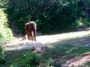 IMG_20170201_100409627.jpg