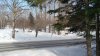 IMG_20170203_1448126.jpg