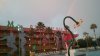 20170207_180434.jpg