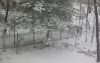 upload_2017-2-15_9-11-41.png