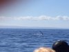 IMG_0067.JPG