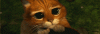 giphy-3.gif