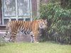 DSCF3583.JPG