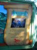 Disney 2011 098.jpg