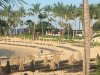 IMG_0887.JPG
