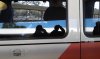 20170216_101303.jpg