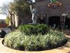 DHS filled in fountain.JPG