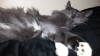 upload_2017-2-21_13-40-57.png