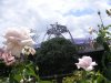 DSCF3008.JPG