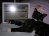 DSCN0227.JPG
