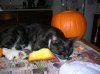 DSCN0823.JPG