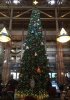 IMG_1356.jpg