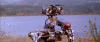 giphy-2.gif