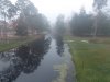 Disney 3-2017 001 copy.jpg