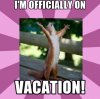 squirrel-vaca.jpg