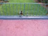 DSCF0312.JPG