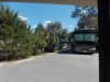 Disney 3-2017 005 copy.jpg