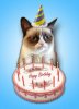 grumpy-cat-birthday-card-grumpy-cat-happy-birthday-and-cats-on-pinterest-1.jpg