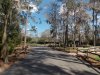 Disney 3-2017 012 copy.jpg