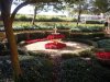 DSCN9703.JPG