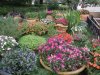 DSCN9453.JPG
