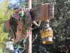 DSCN8577.JPG