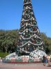 DSCN9822.JPG