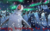 Penguin BD.gif