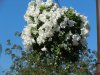 DSCN9679.JPG