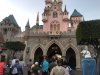 IMG_0943.jpg