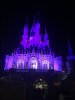 IMG_3971.JPG