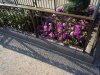 DSCN9638.JPG