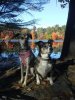 Moxie and Zoey 101516.jpg