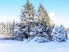 Winter 2017.jpg