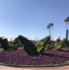 IMG_8014.JPG