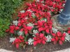 DSCN9301.JPG