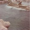 Scan2.jpg