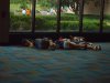 DSC00376-min.JPG