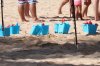 IMG_7411b.jpg