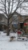 20170318_142702 house.jpg