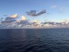 IMG_4488.jpg