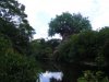 DSCF3515.JPG