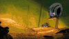 money-gifs-scrooge-mcduck1.gif